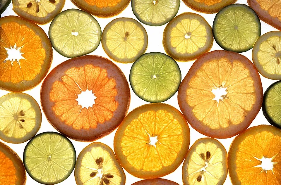 Citrus fruits More than 70 percent of all citrus fruits grown in the United States are varieties developed by the ARS citrus breeding program. In Flor