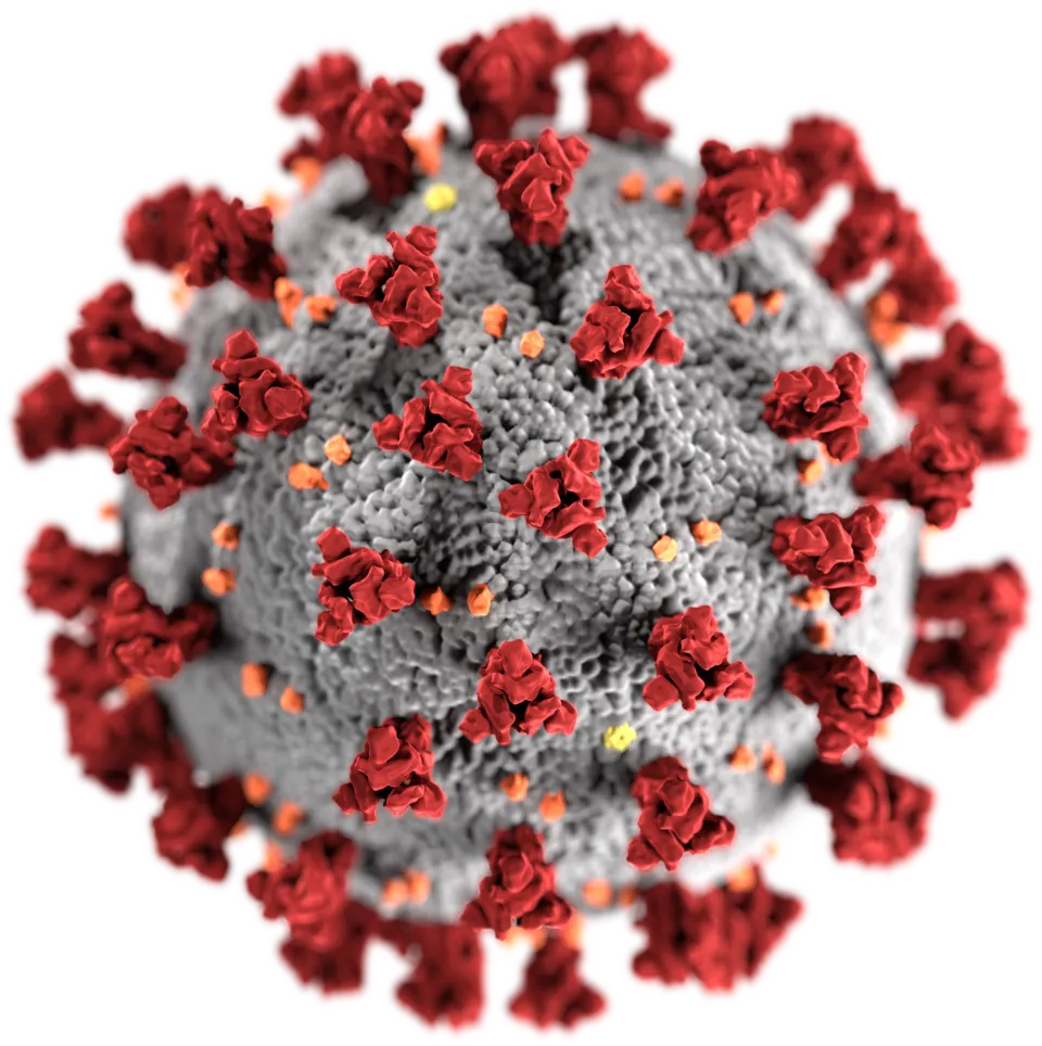 This illustration, created at the Centers for Disease Control and Prevention (CDC), reveals ultrastructural morphology exhibited by coronaviruses. Not